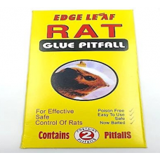 Siçan kleyi sarı